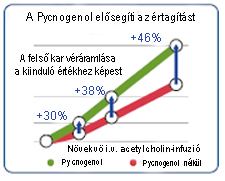 A Pycnogenol javítja a véráramlást