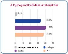 A Pycnogenol kötődik a kollagénhez/elasztinhoz