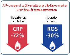 A Pycnogenol csökkentette a CRP értékét oszteoartritiszban