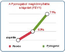 A Pycnogebol megkönnyítette a légzést