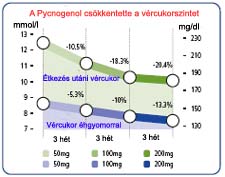 A Pycnogenol csökkentette a vércukorszintet